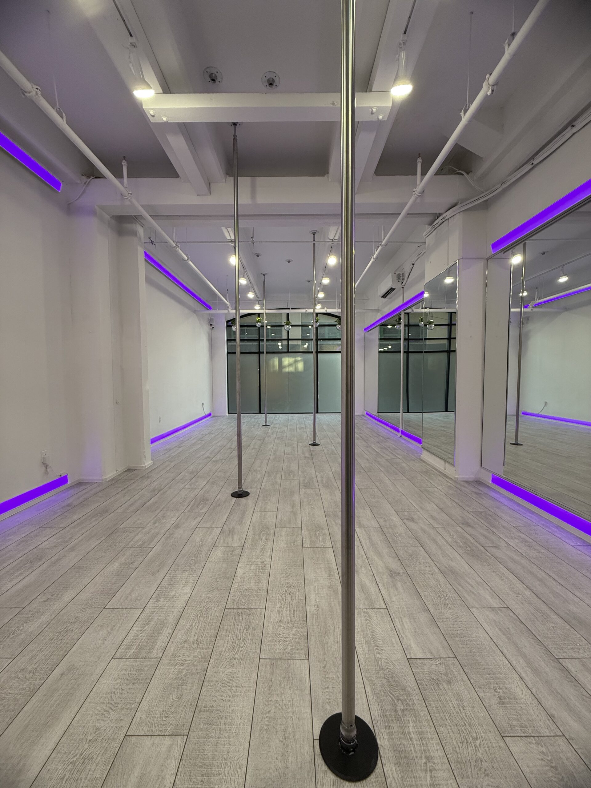 The DUMBO Den rental room with floor-to-ceiling windows and removable poles